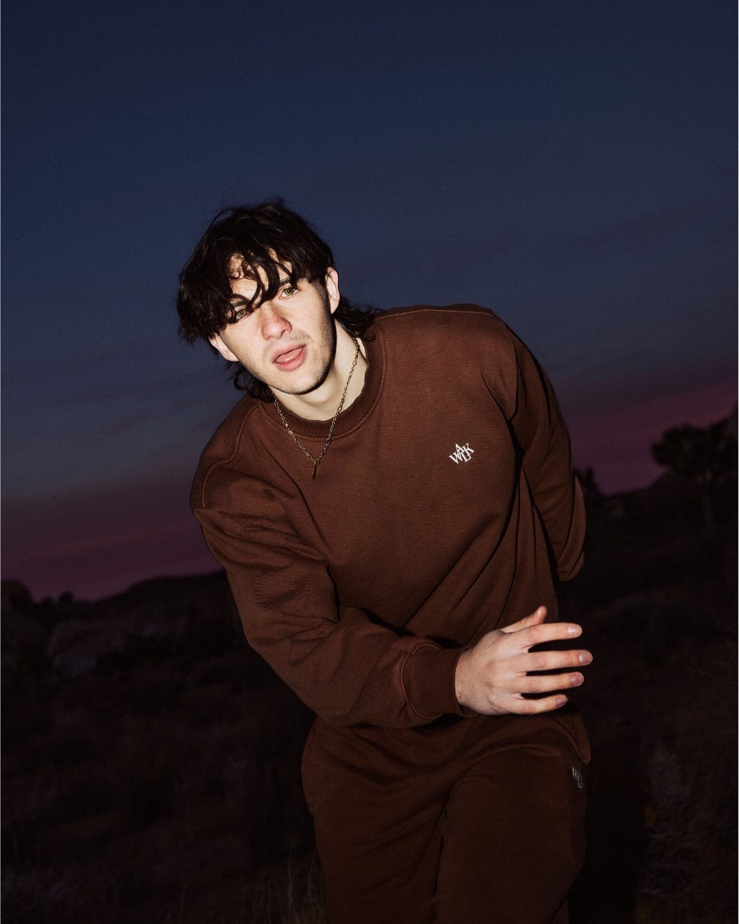 Petit Biscuit